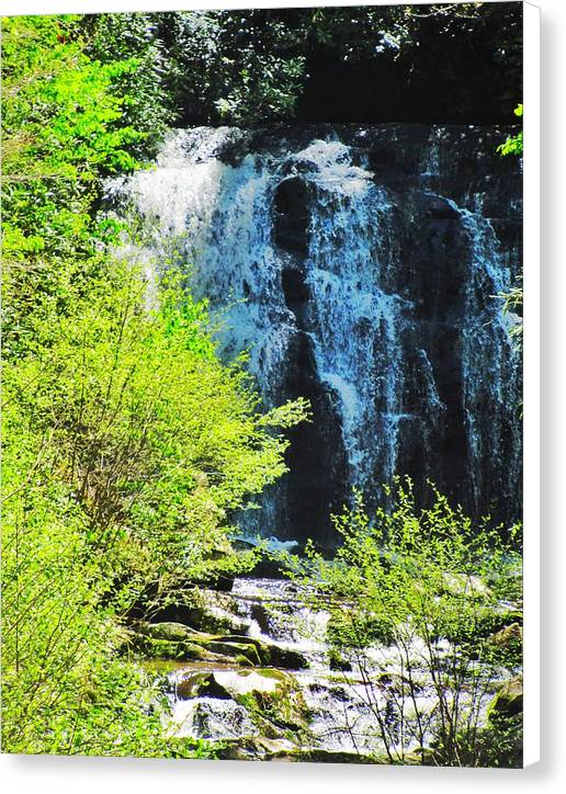 Roaring Fork Waterfall - Canvas Print