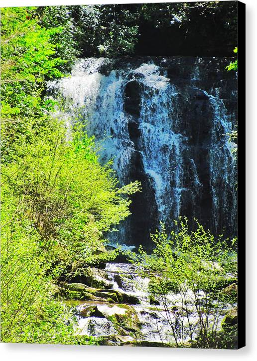 Roaring Fork Waterfall - Canvas Print