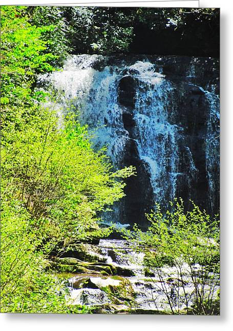 Roaring Fork Waterfall - Greeting Card