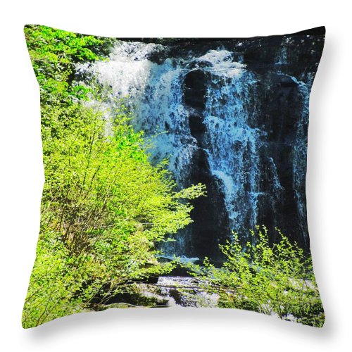 Roaring Fork Waterfall - Throw Pillow