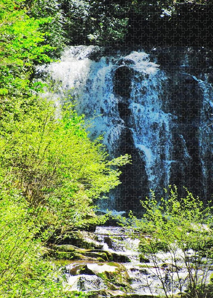 Roaring Fork Waterfall - Puzzle