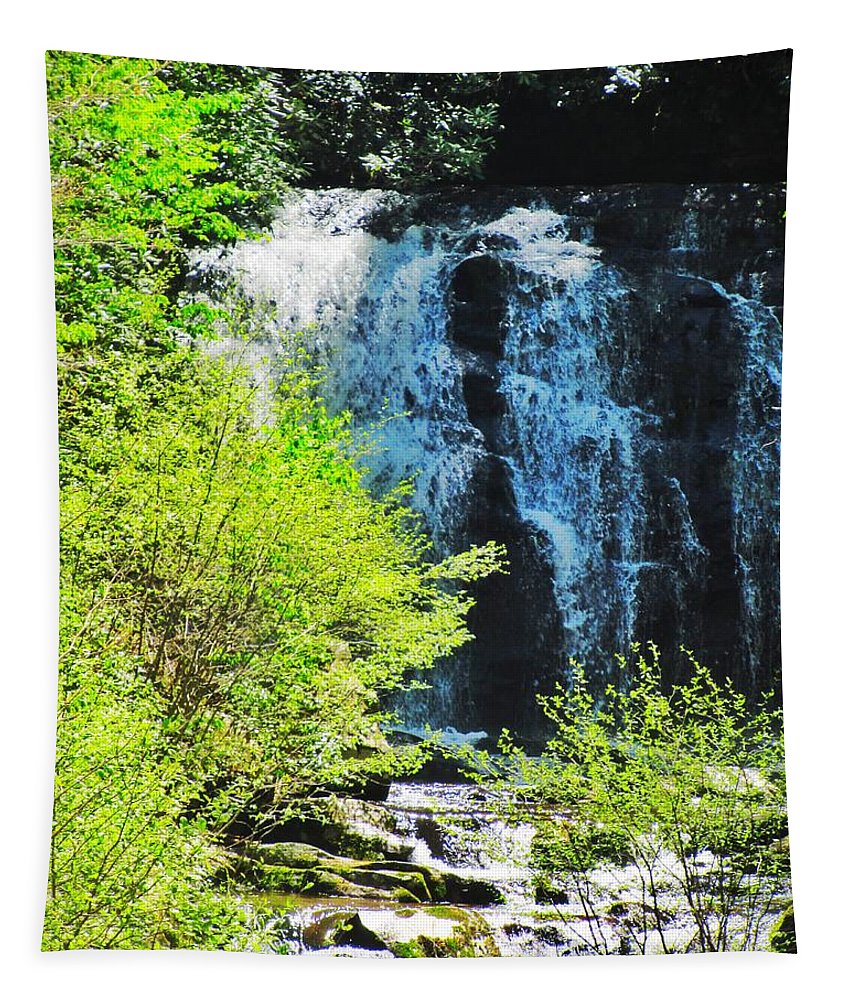 Roaring Fork Waterfall - Tapestry