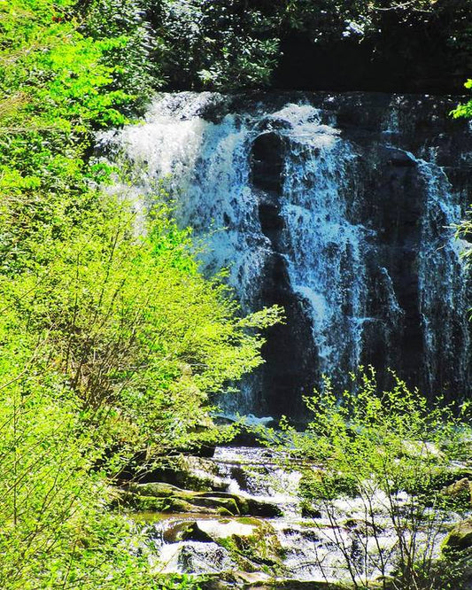 Roaring Fork Waterfall - Art Print