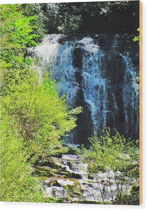 Roaring Fork Waterfall - Wood Print