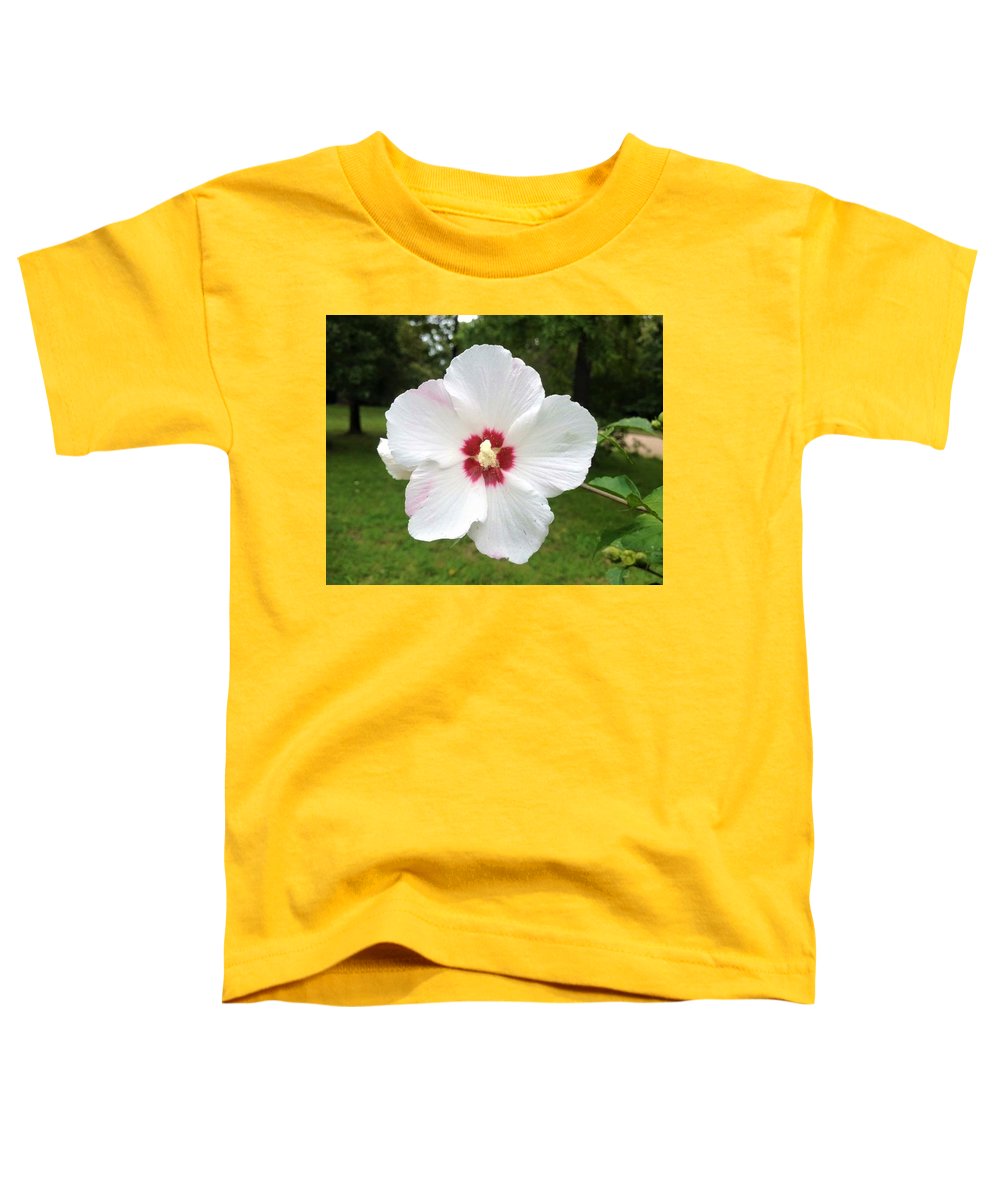 Rose of Sharon - Toddler T-Shirt