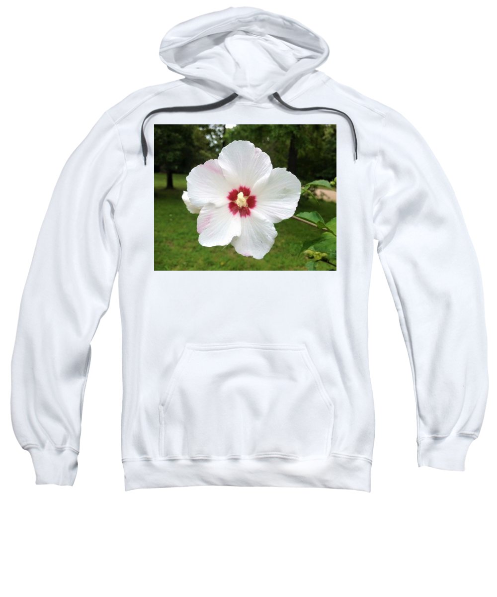 Rose of Sharon - Sweatshirt