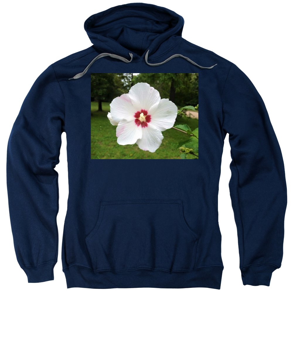 Rose of Sharon - Sweatshirt