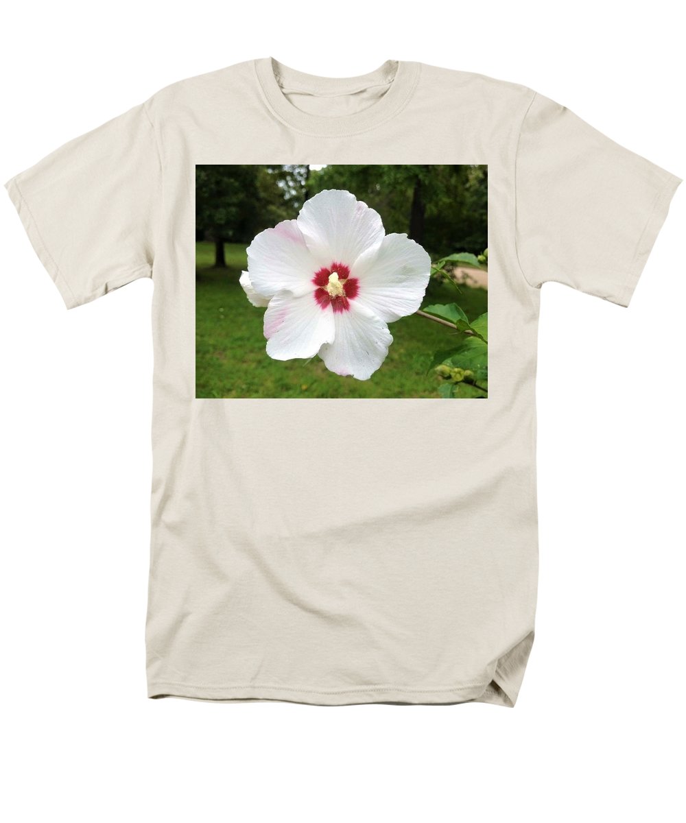 Rose of Sharon - Men's T-Shirt  (Regular Fit)