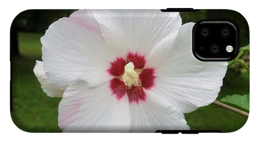 Rose of Sharon - Phone Case