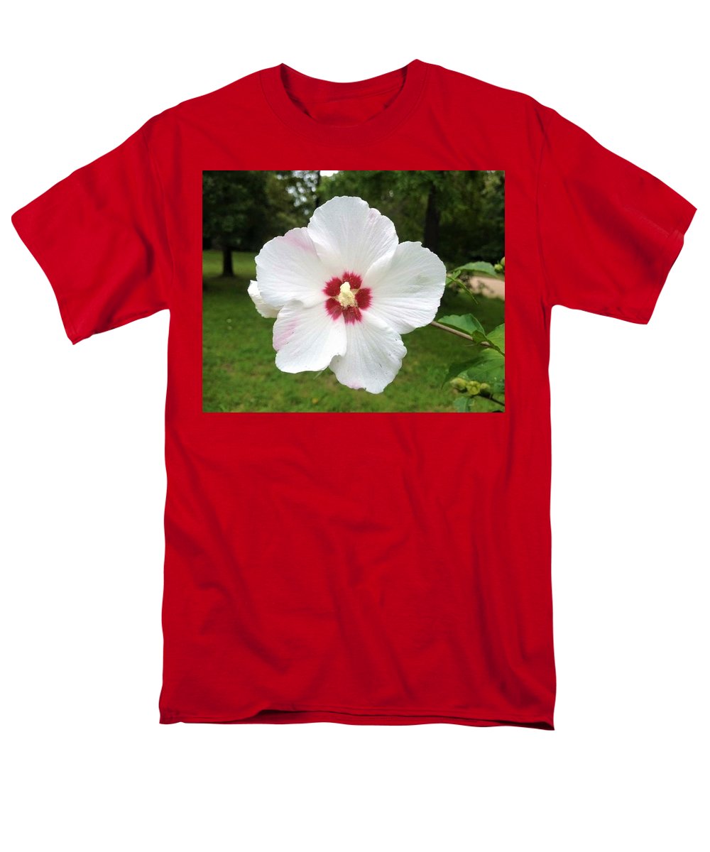 Rose of Sharon - Men's T-Shirt  (Regular Fit)