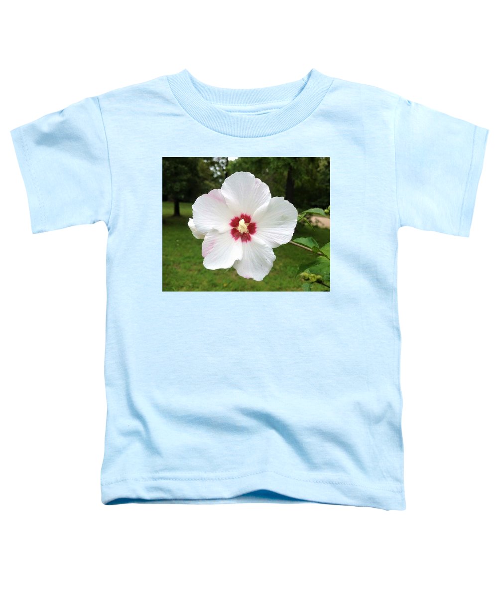 Rose of Sharon - Toddler T-Shirt