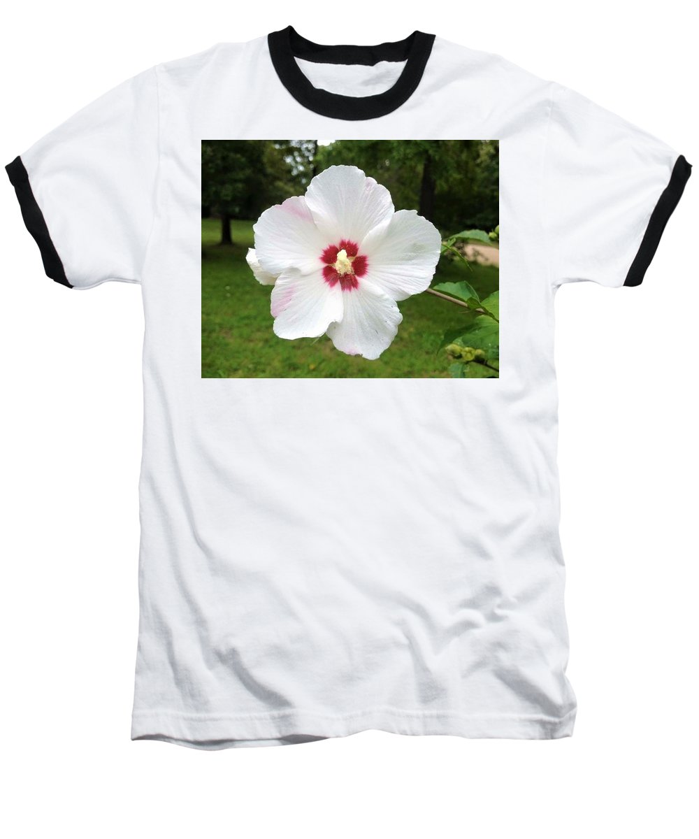 Rose of Sharon - Baseball T-Shirt