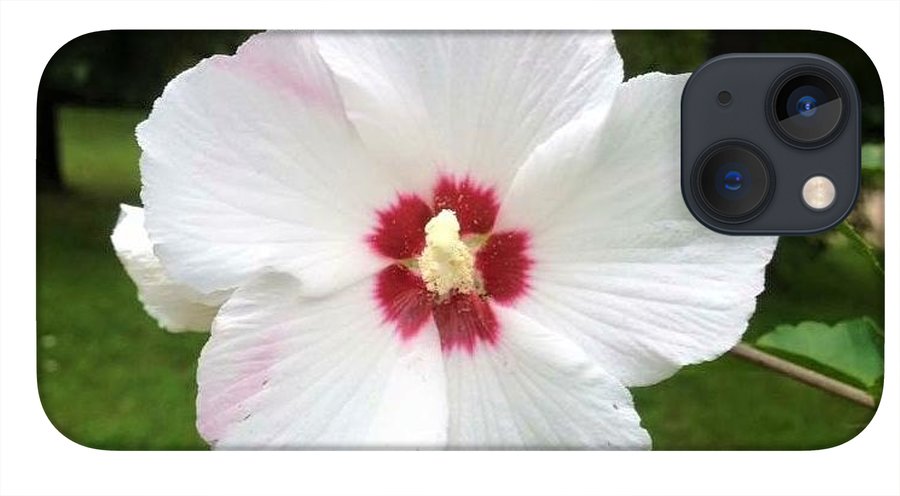 Rose of Sharon - Phone Case