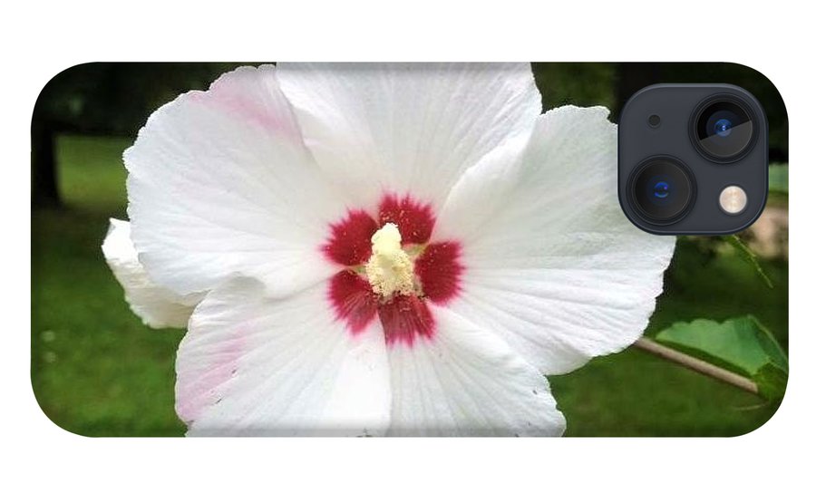 Rose of Sharon - Phone Case