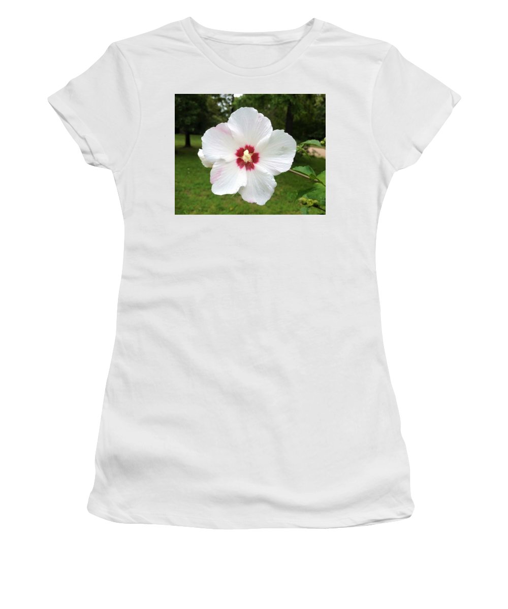 Rose of Sharon - Women's T-Shirt