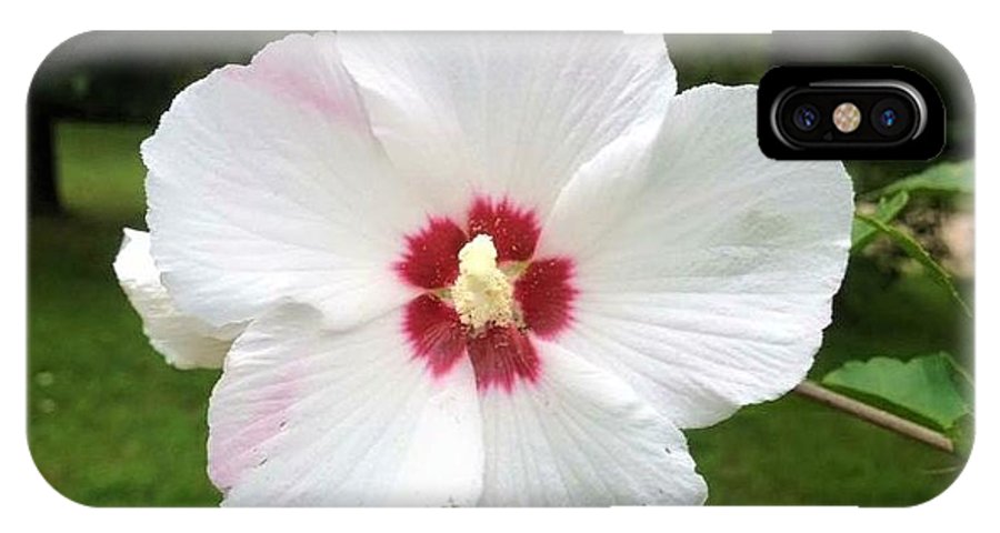 Rose of Sharon - Phone Case