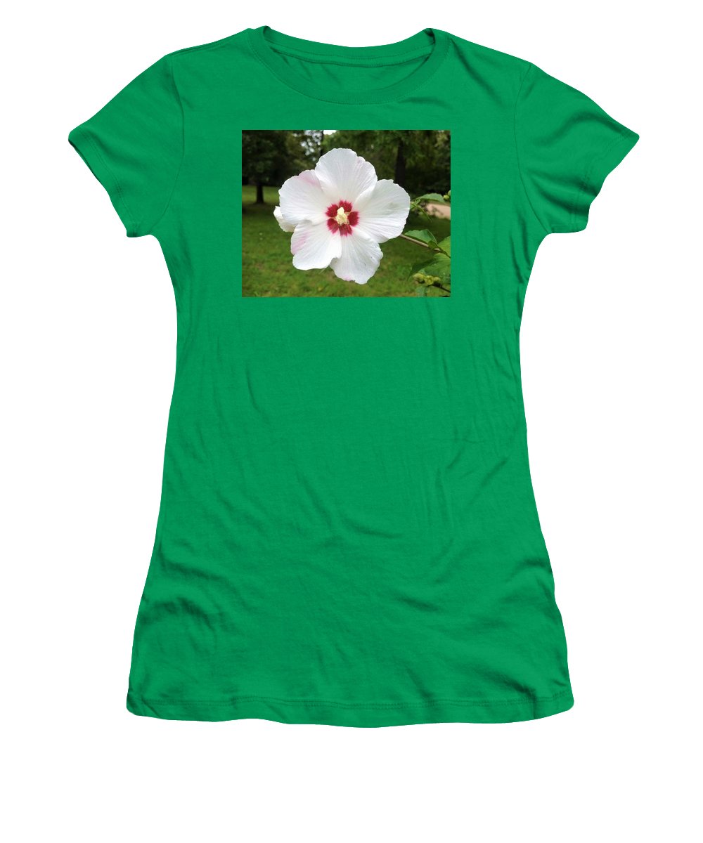 Rose of Sharon - Women's T-Shirt