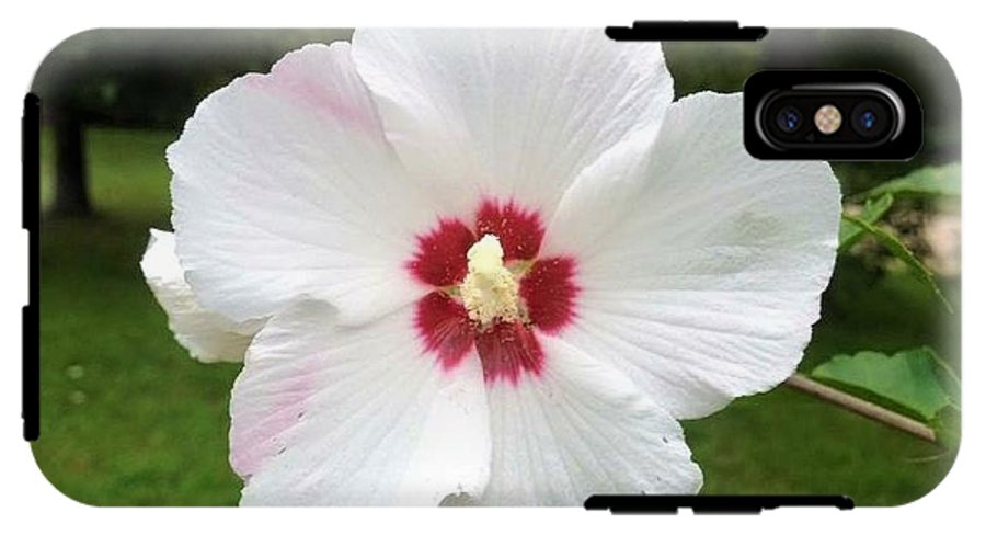 Rose of Sharon - Phone Case