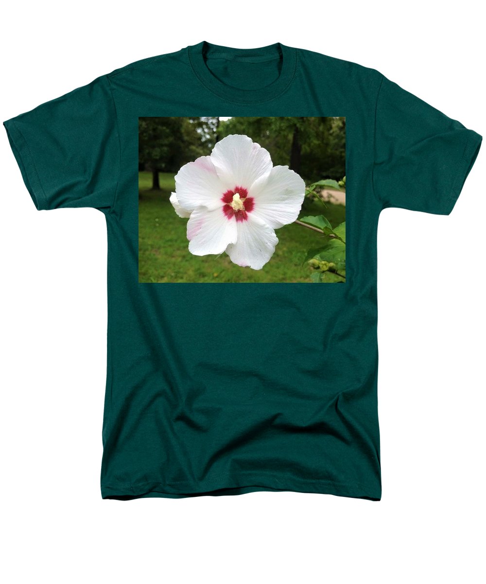 Rose of Sharon - Men's T-Shirt  (Regular Fit)