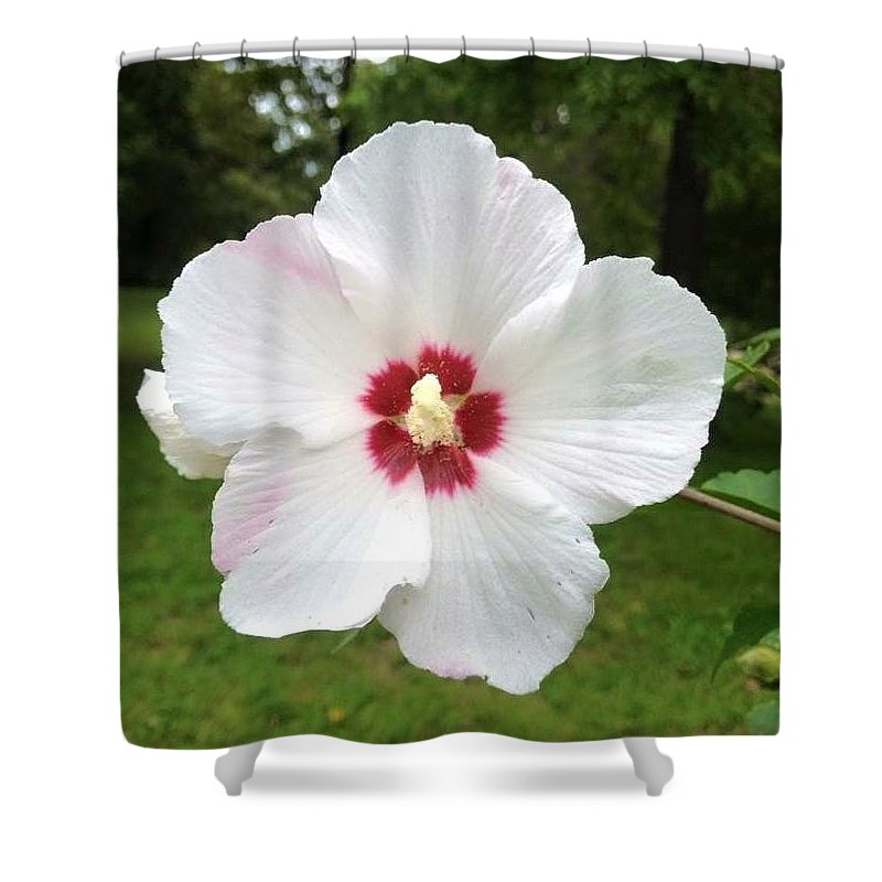 Rose of Sharon - Shower Curtain