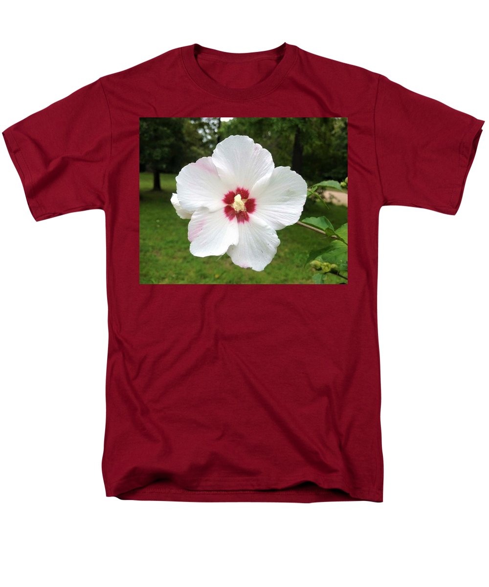 Rose of Sharon - Men's T-Shirt  (Regular Fit)