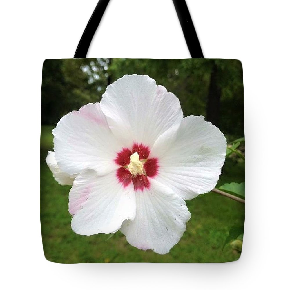 Rose of Sharon - Tote Bag