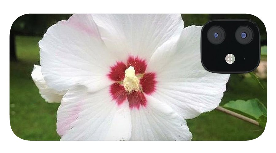 Rose of Sharon - Phone Case