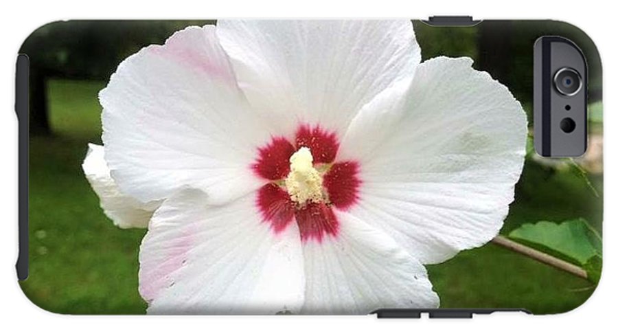 Rose of Sharon - Phone Case