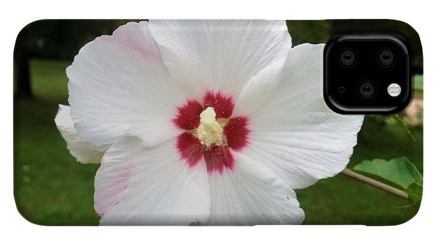 Rose of Sharon - Phone Case