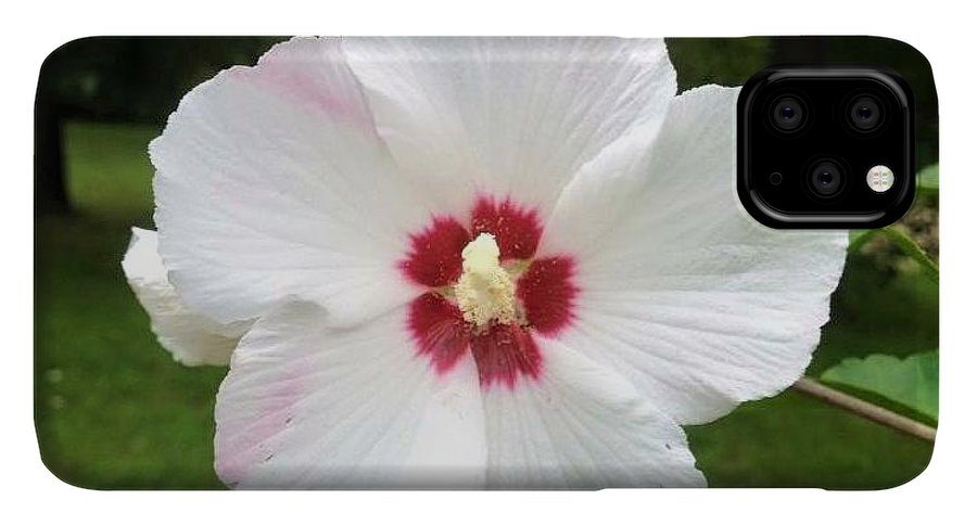 Rose of Sharon - Phone Case