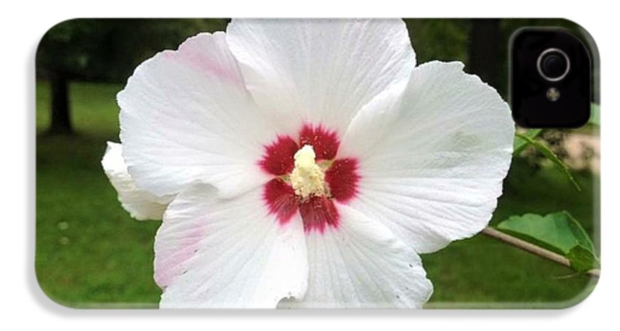 Rose of Sharon - Phone Case