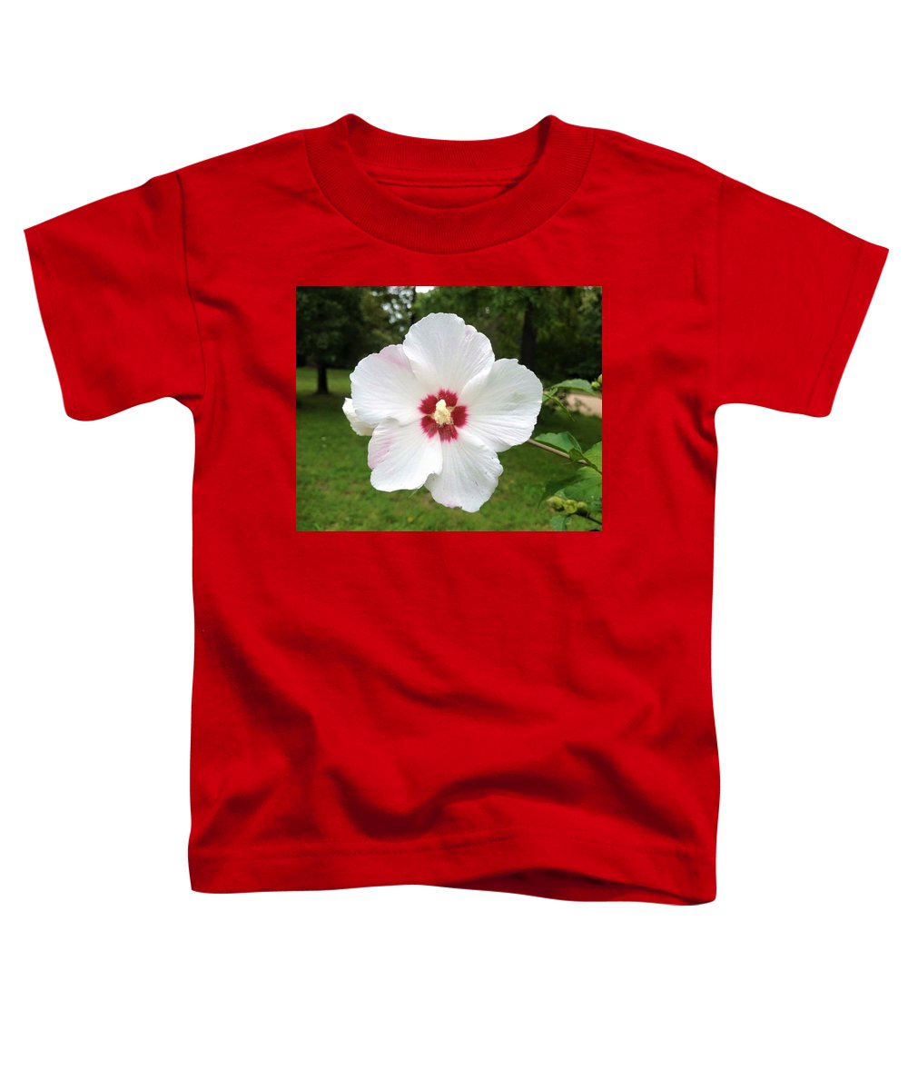 Rose of Sharon - Toddler T-Shirt