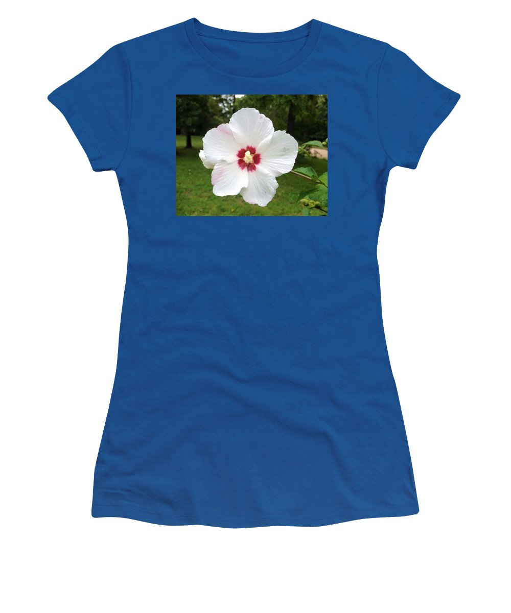 Rose of Sharon - Women's T-Shirt