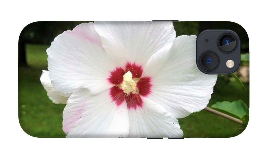 Rose of Sharon - Phone Case