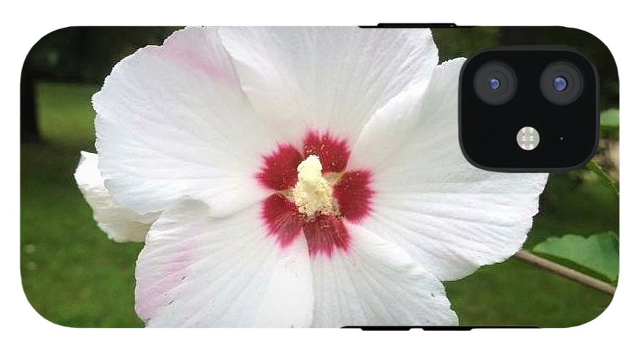 Rose of Sharon - Phone Case