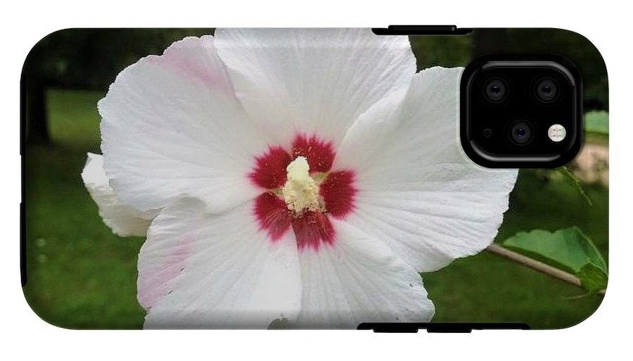 Rose of Sharon - Phone Case