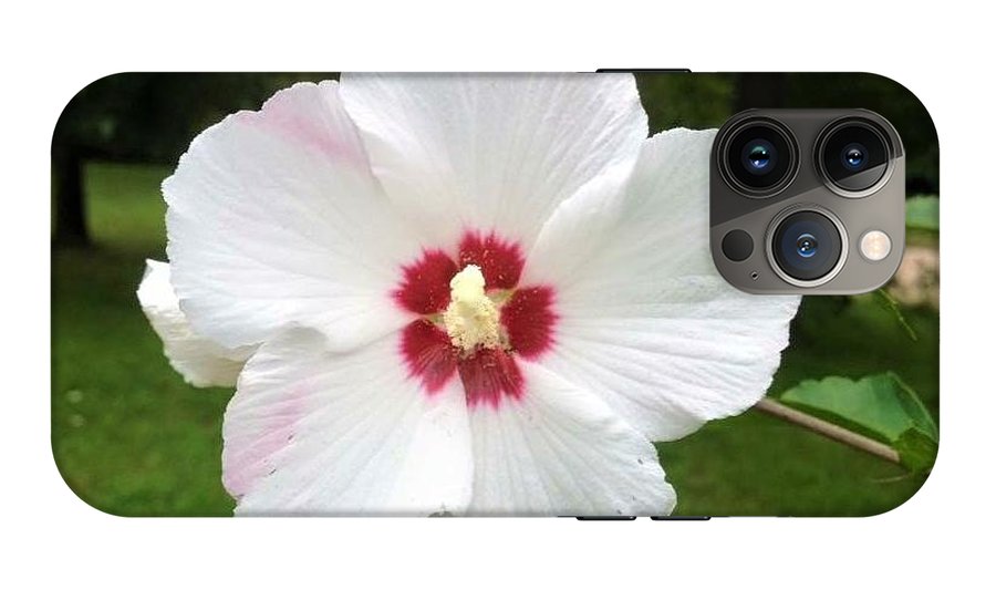 Rose of Sharon - Phone Case