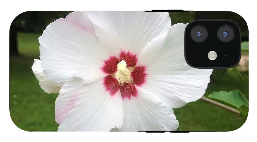 Rose of Sharon - Phone Case