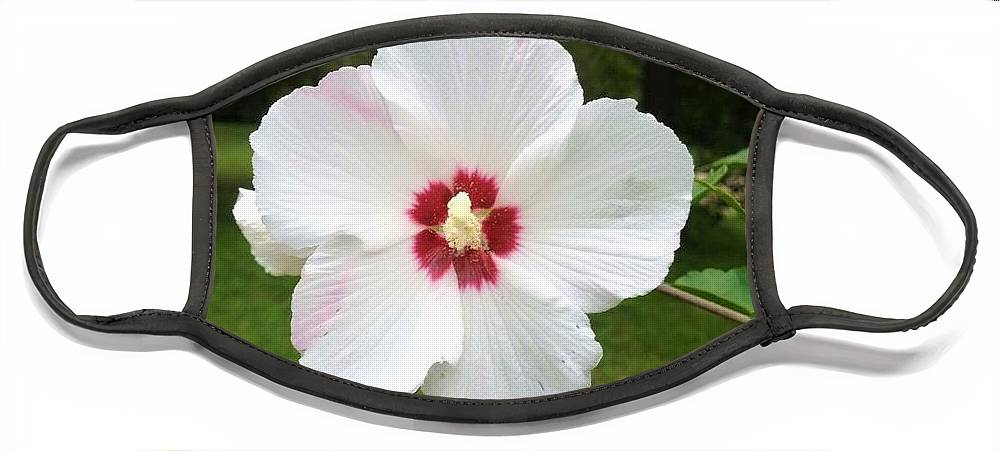 Rose of Sharon - Face Mask