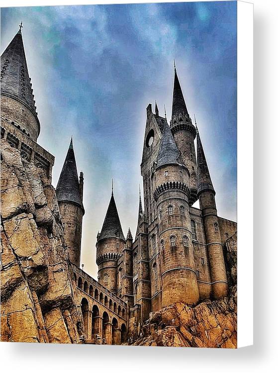 School of Witchcraft and Wizardry - Canvas Print