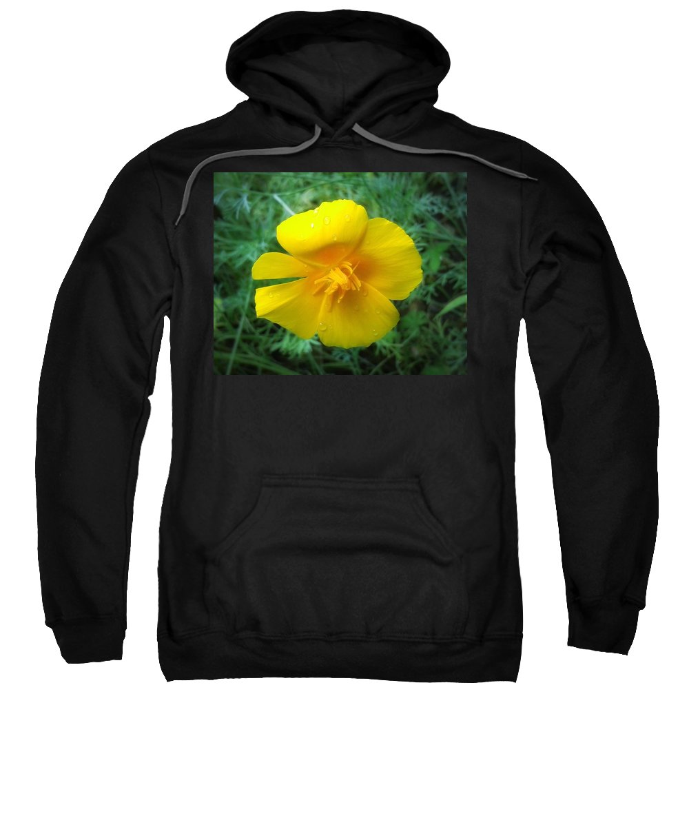 Sunny Bloom - Sweatshirt