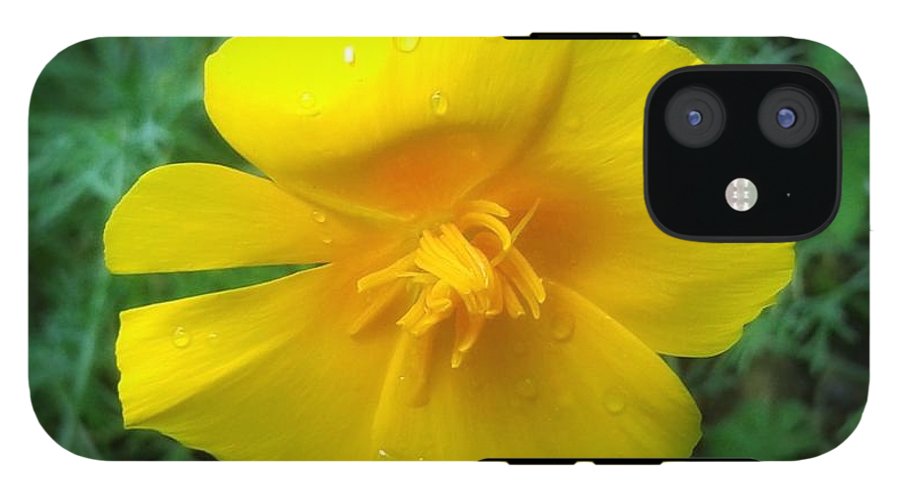 Sunny Bloom - Phone Case