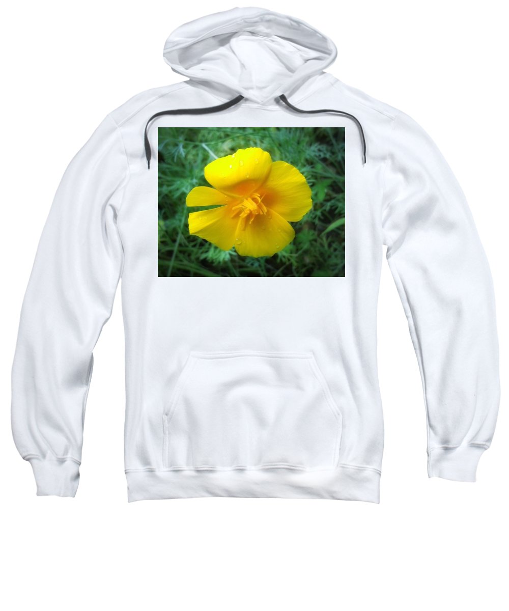 Sunny Bloom - Sweatshirt