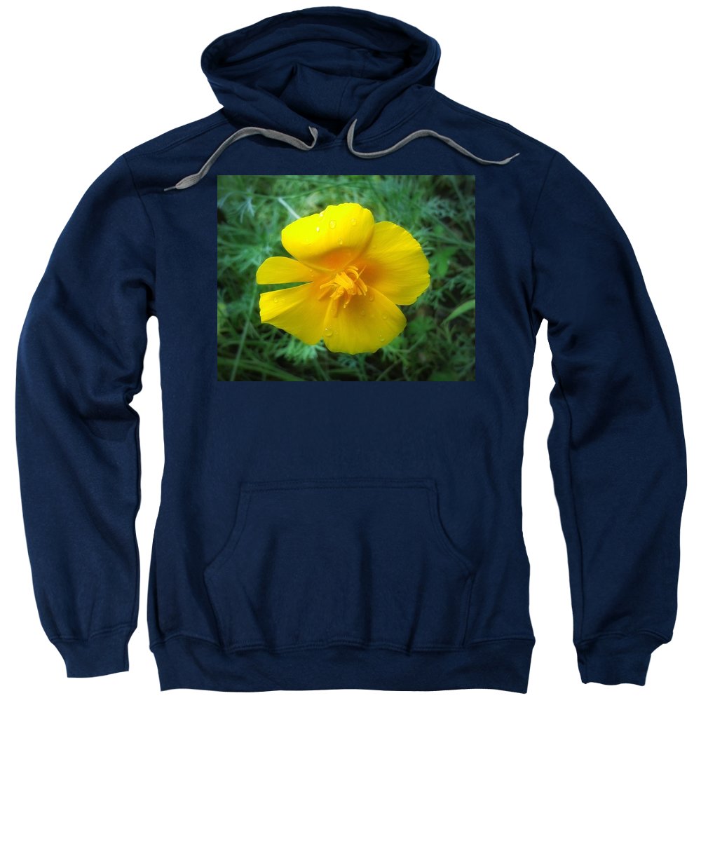 Sunny Bloom - Sweatshirt