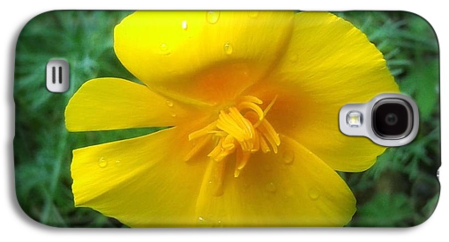 Sunny Bloom - Phone Case