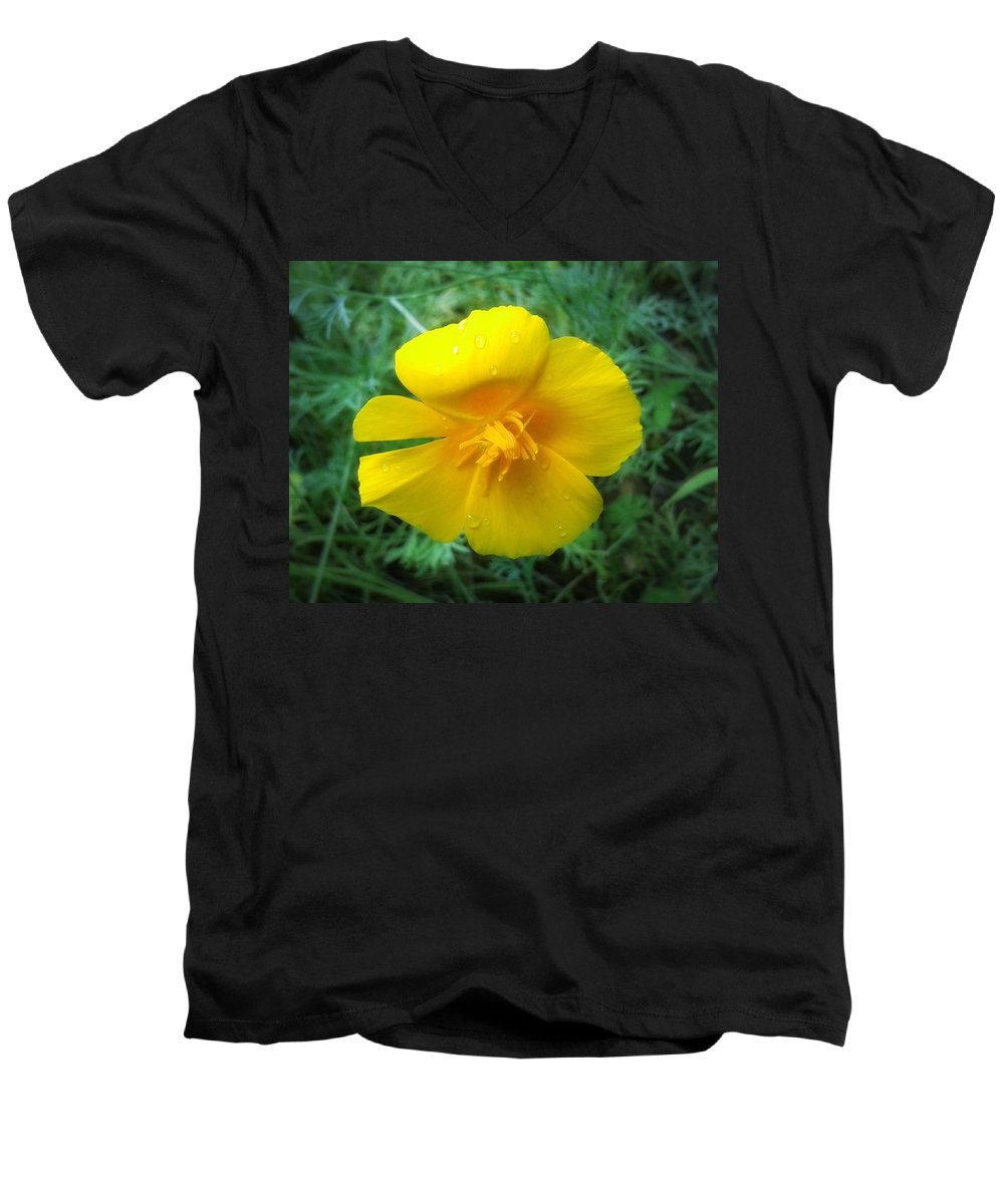 Sunny Bloom - Men's V-Neck T-Shirt