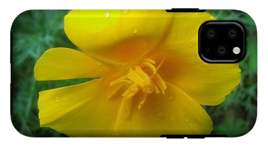 Sunny Bloom - Phone Case