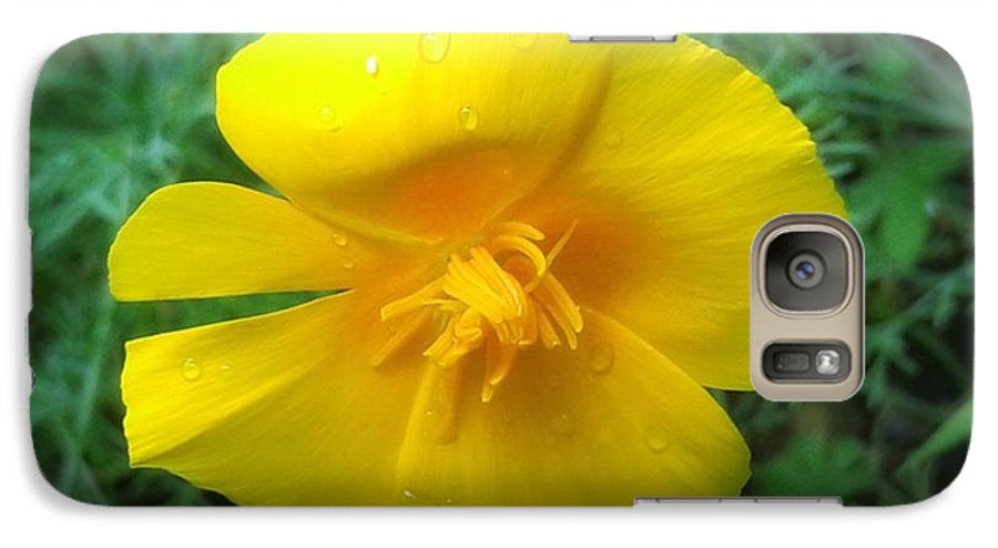 Sunny Bloom - Phone Case