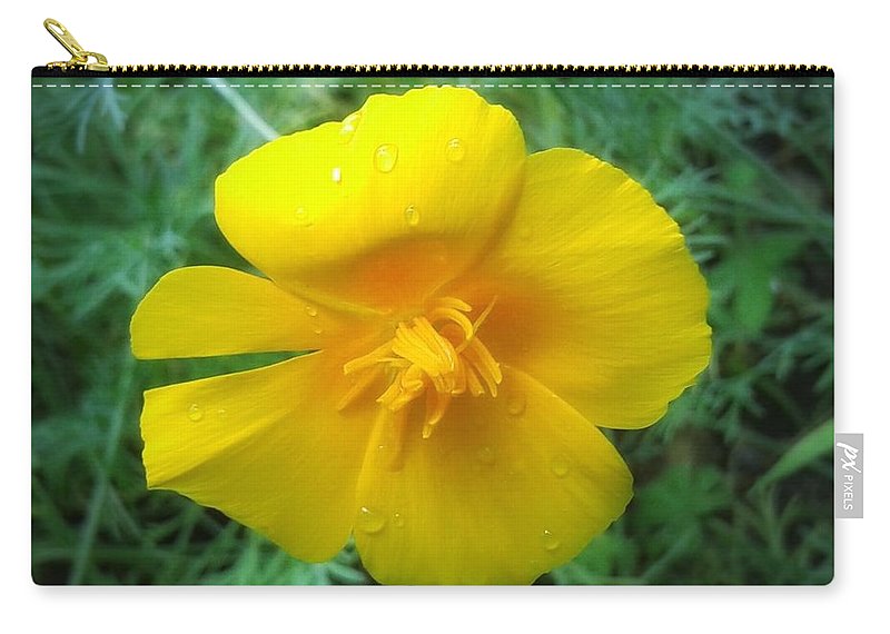 Sunny Bloom - Carry-All Pouch