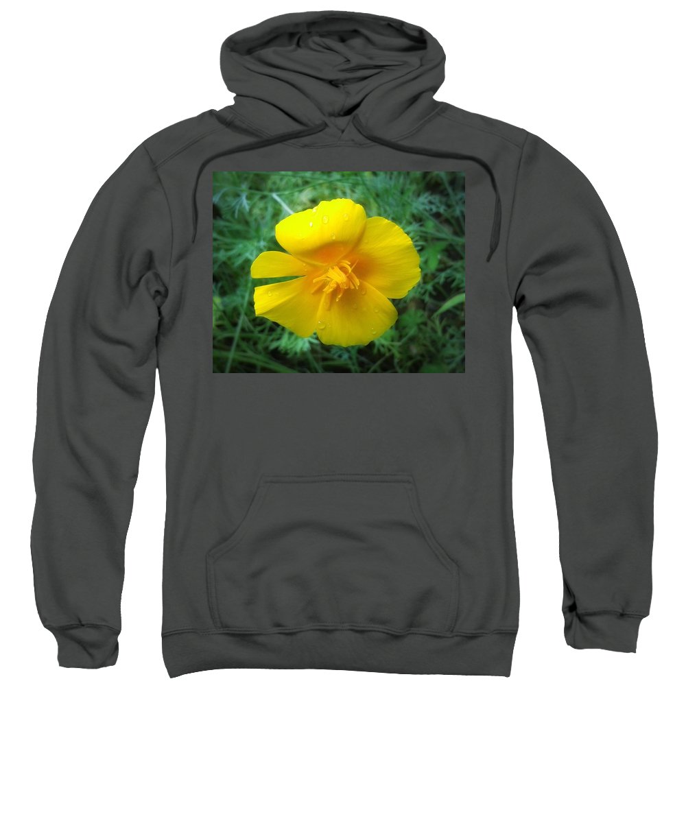 Sunny Bloom - Sweatshirt